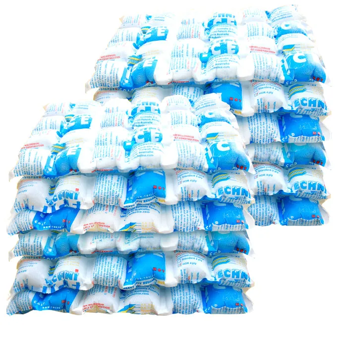 12 Techni Ice Heavy Duty Reusable Dry Ice packs