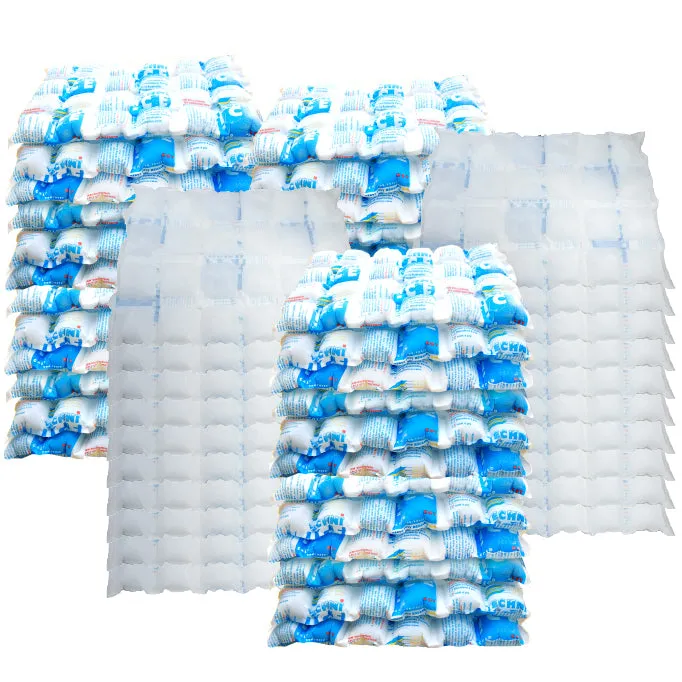 200 Techni Ice STD 2 PLY Disposable/ Minimum Reuse Dry Ice packs