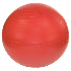 Antiburst 18" Gymball