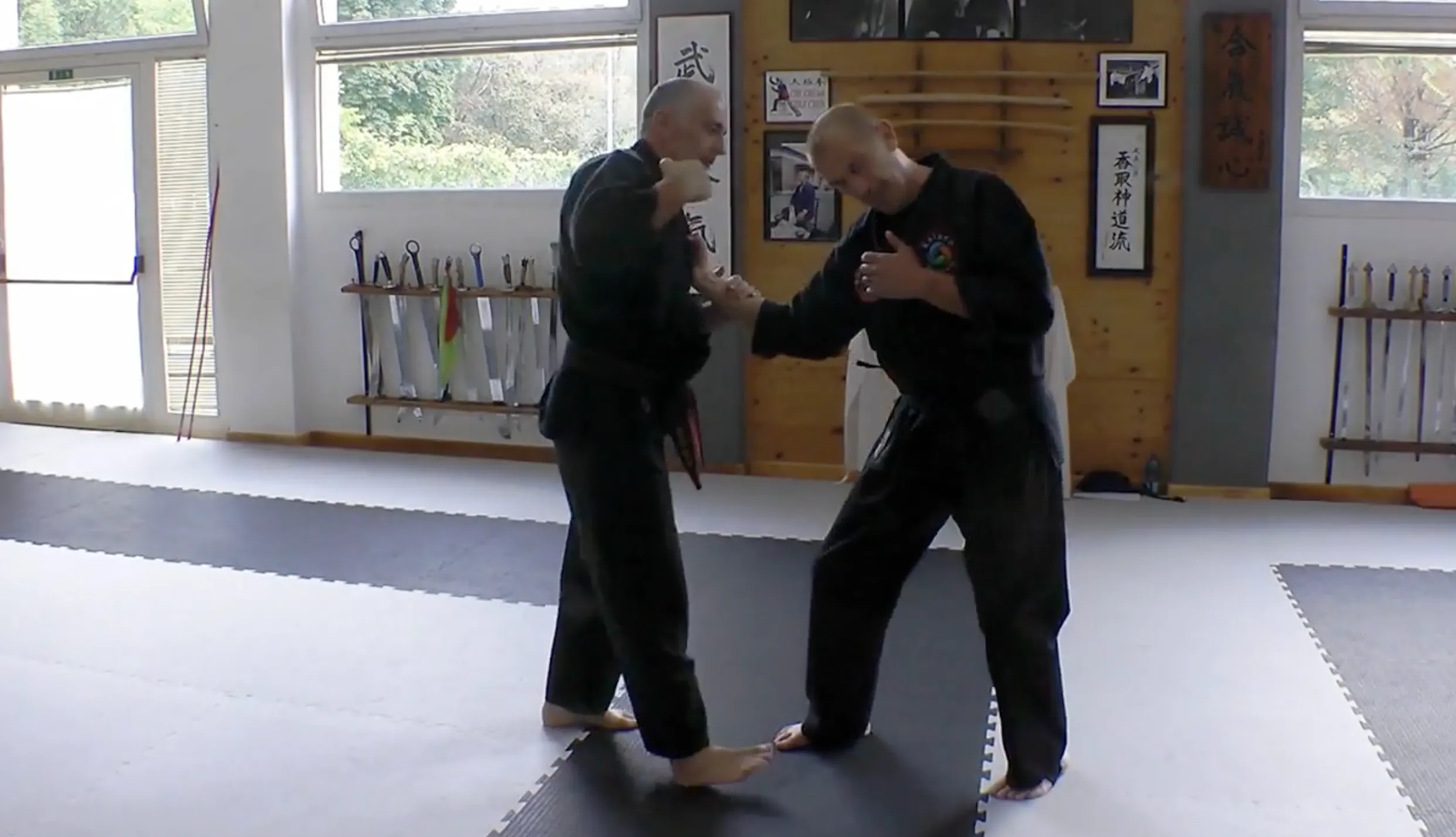 Become a Kyusho Instructor Vol 1 Gianluca Frisan (On Demand)