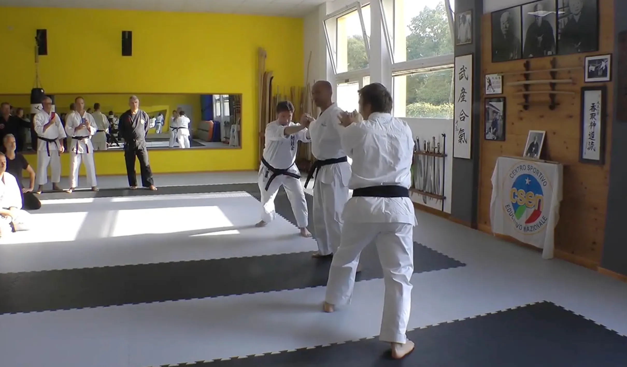 Become a Kyusho Instructor Vol 1 Gianluca Frisan (On Demand)