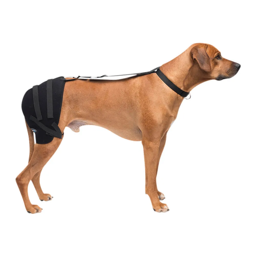 Caldera Pet Therapy Hip Wrap with Therapy Gel