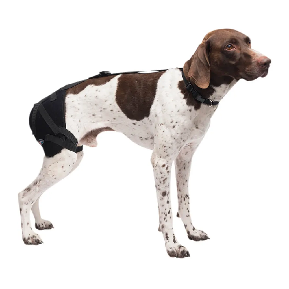 Caldera Pet Therapy Hip Wrap with Therapy Gel