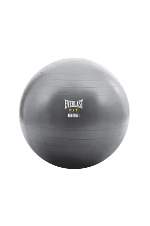 Everlast 65cm Fitball